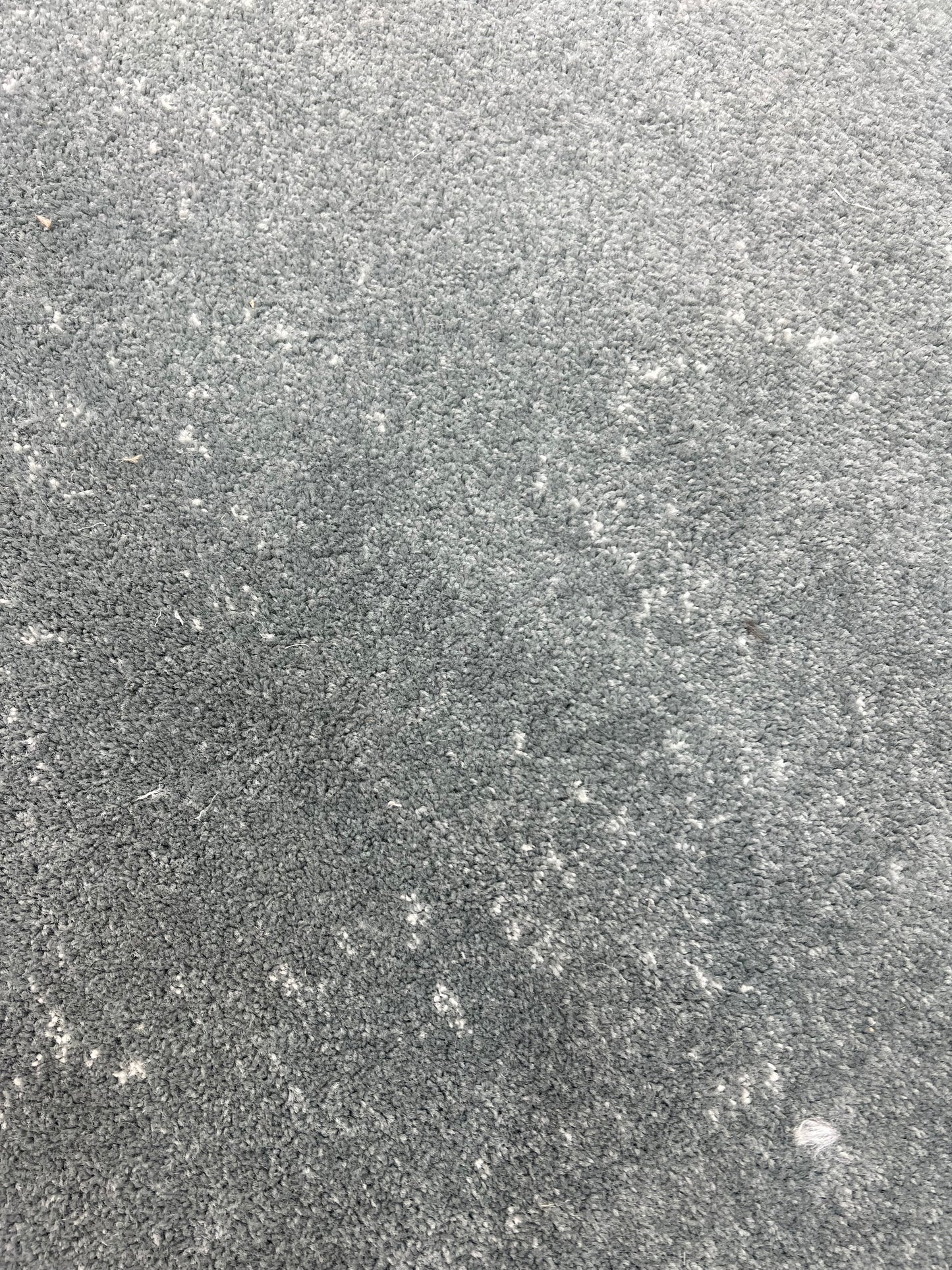 Alicante bleu gris